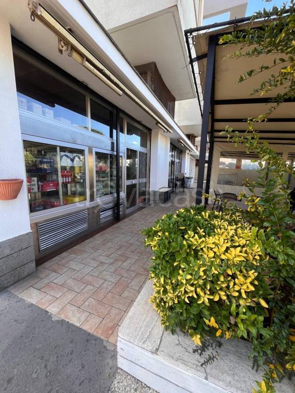 negozio in vendita a Fiumicino in zona Fregene