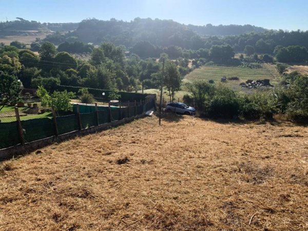terreno agricolo in vendita a Fiumicino in zona Aranova