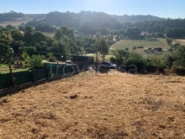 terreno agricolo in vendita a Fiumicino in zona Aranova