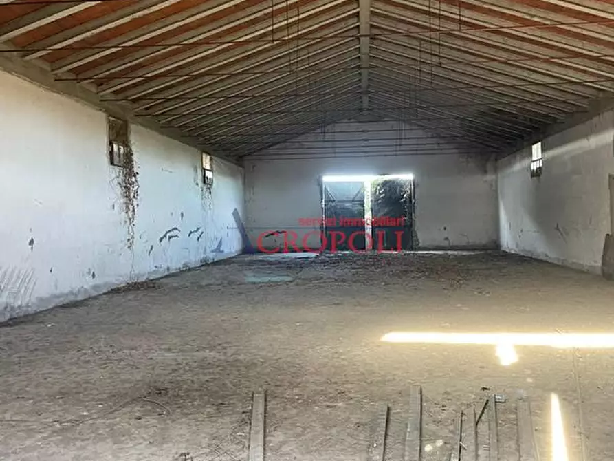 terreno agricolo in vendita a Fiumicino