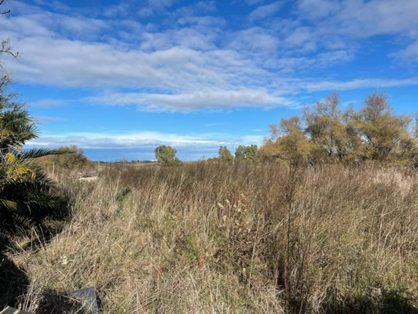 terreno agricolo in vendita a Fiumicino