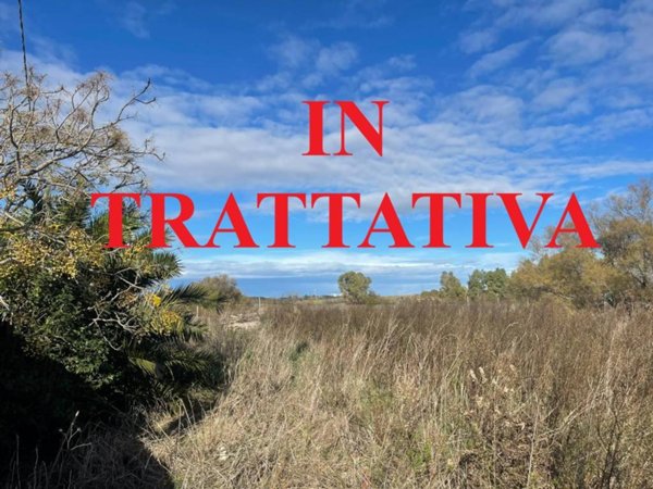 terreno agricolo in vendita a Fiumicino