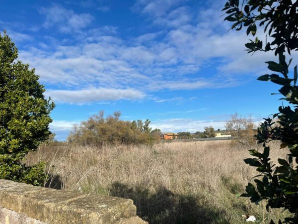 terreno agricolo in vendita a Fiumicino