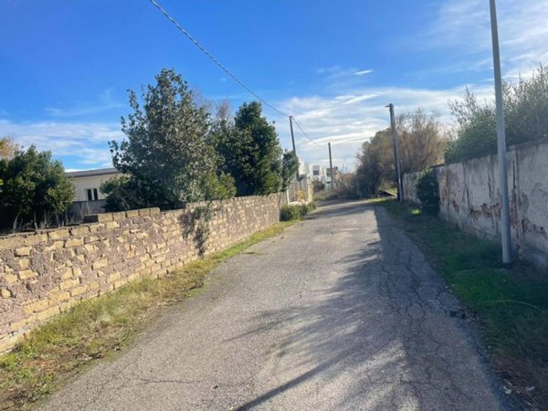 terreno agricolo in vendita a Fiumicino