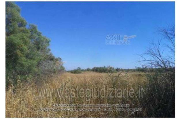 terreno agricolo in vendita a Fiumicino