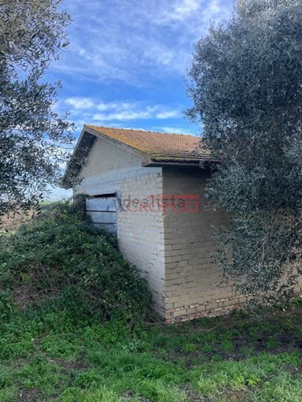 terreno agricolo in vendita a Fiumicino