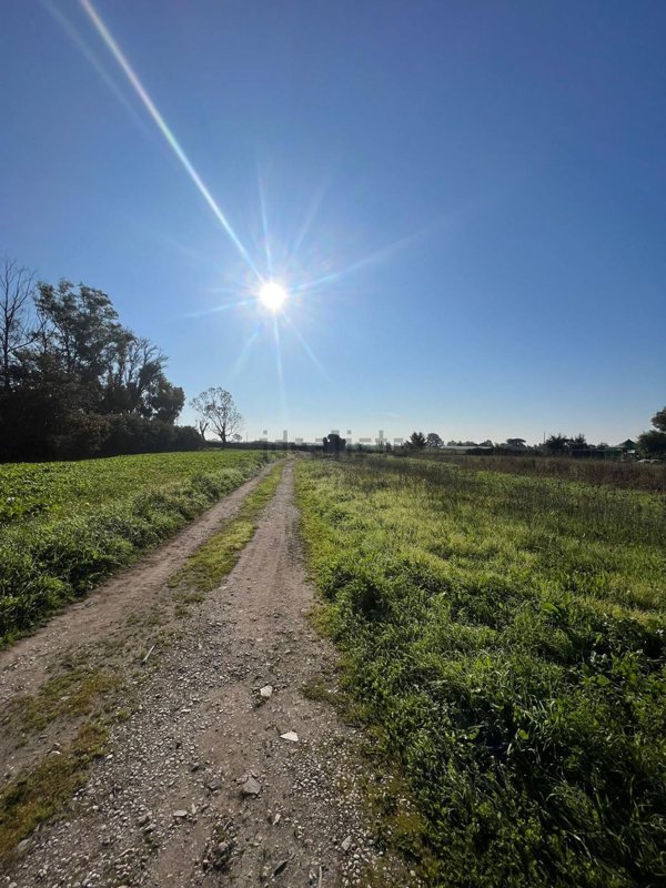 terreno agricolo in vendita a Fiumicino in zona Maccarese