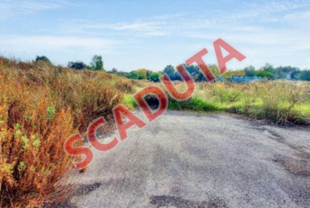 terreno agricolo in vendita a Fiumicino