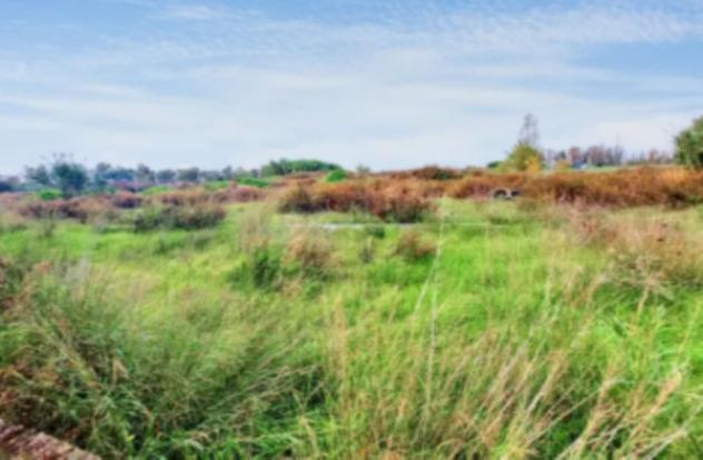 terreno agricolo in vendita a Fiumicino in zona Palidoro