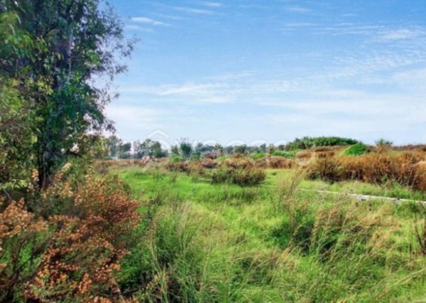 terreno agricolo in vendita a Fiumicino in zona Palidoro