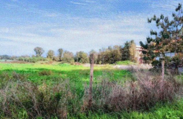 locale commerciale in vendita a Fiumicino