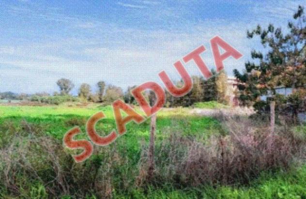 locale commerciale in vendita a Fiumicino