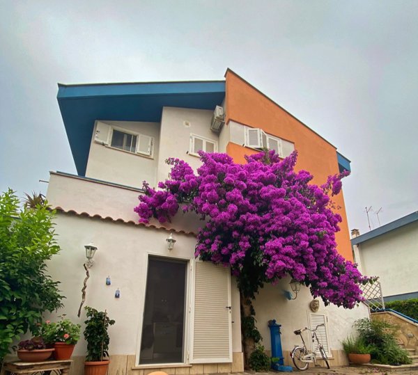 esavano in vendita a Fiumicino