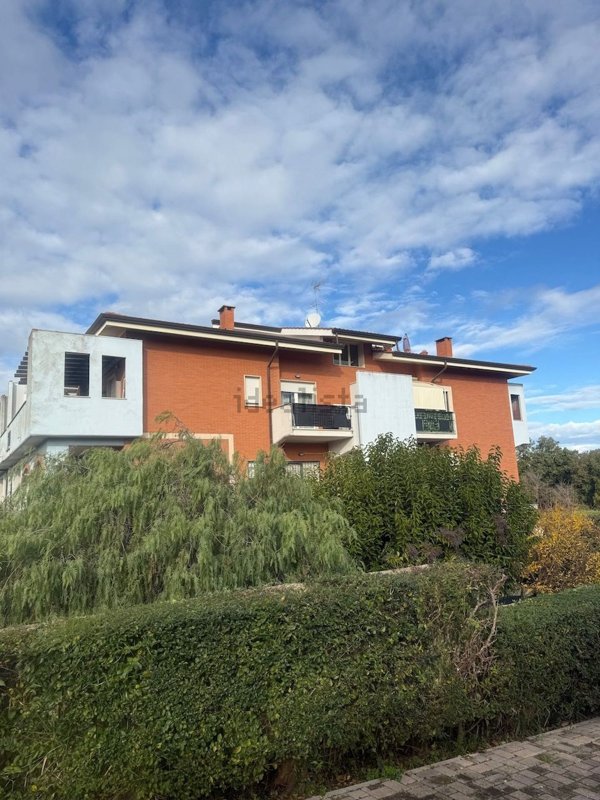 appartamento in vendita a Fiumicino in zona Aranova