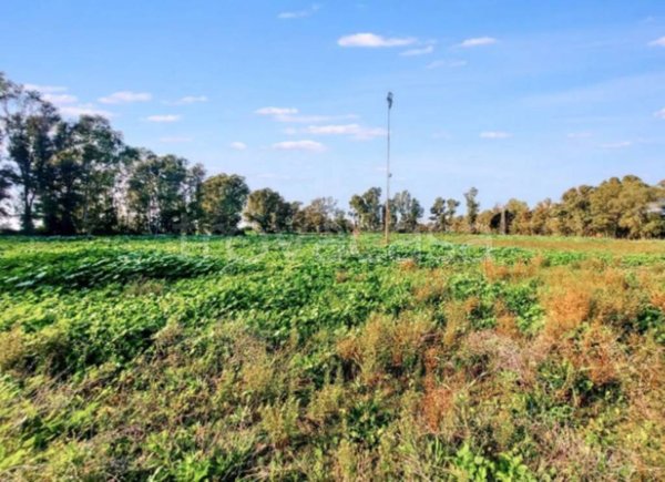 terreno agricolo in vendita a Fiumicino in zona Palidoro