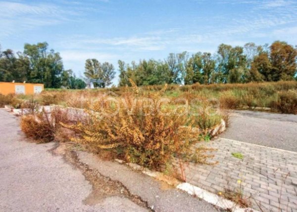 terreno agricolo in vendita a Fiumicino in zona Palidoro