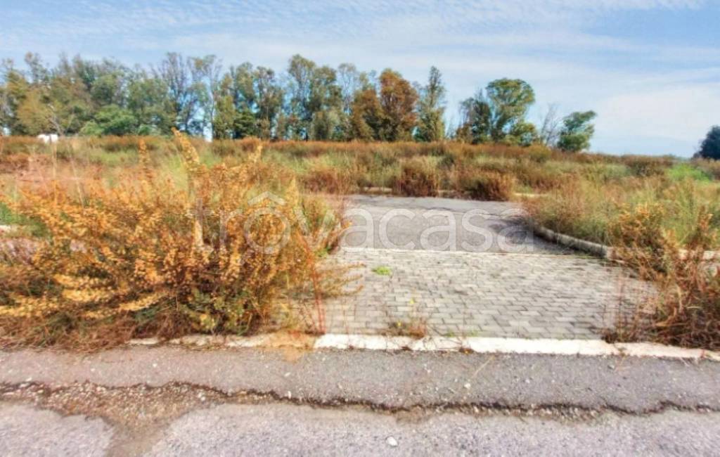 terreno agricolo in vendita a Fiumicino in zona Palidoro