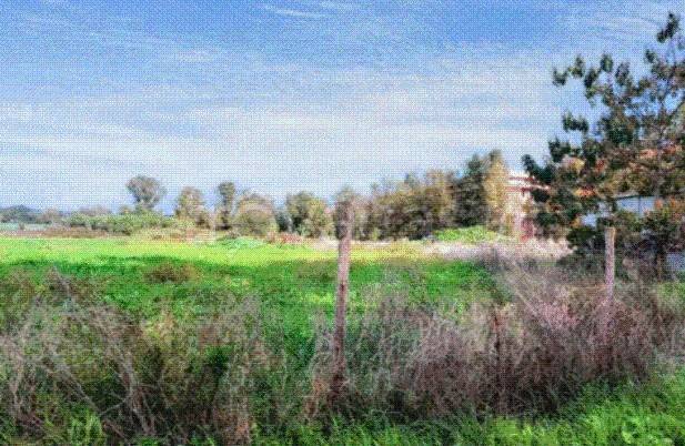 locale commerciale in vendita a Fiumicino in zona Palidoro