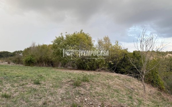 terreno agricolo in vendita a Fiumicino in zona Aranova