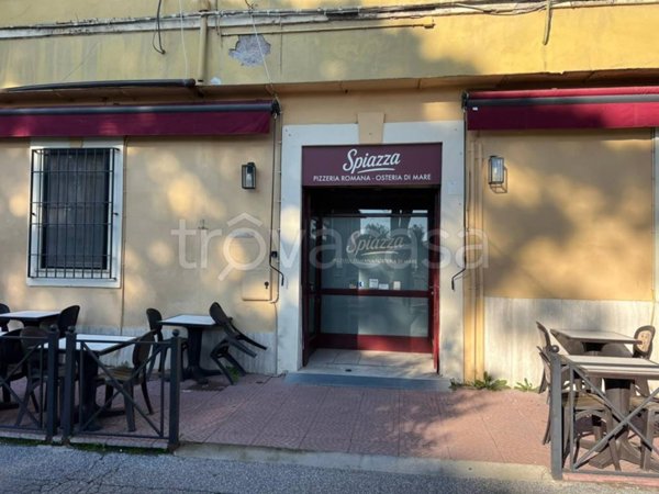 negozio in vendita a Fiumicino in zona Maccarese