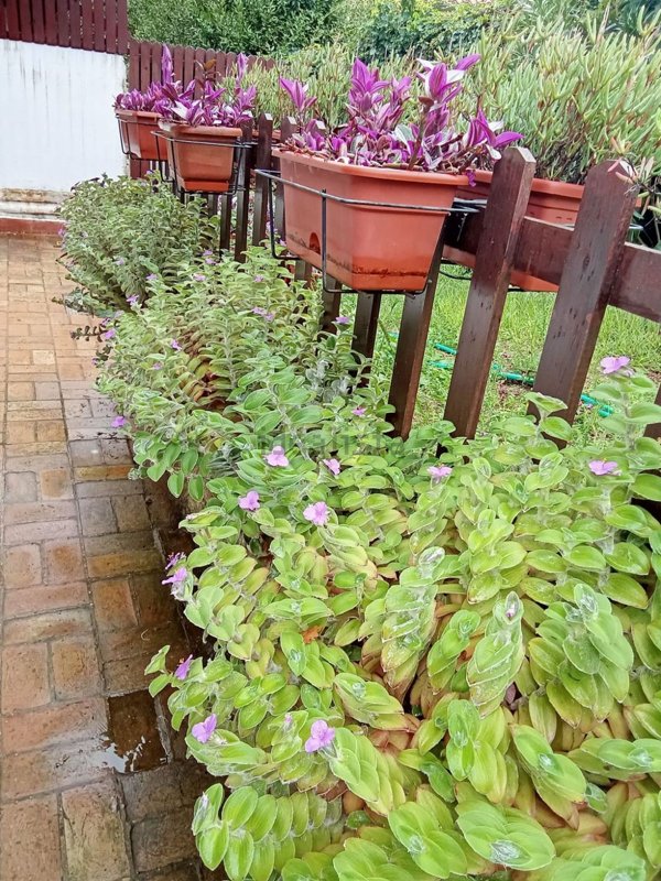 appartamento in vendita a Fiumicino