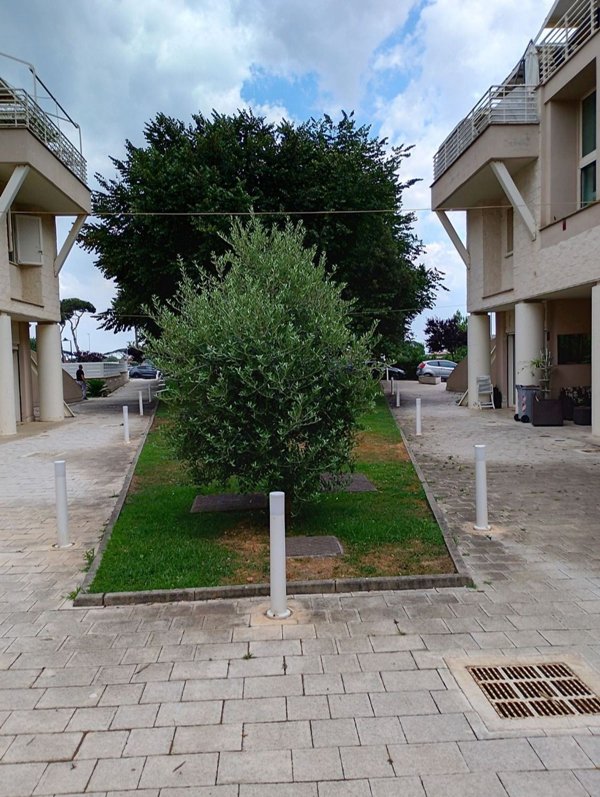 appartamento in vendita a Fiumicino in zona Fregene