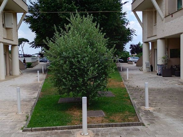 appartamento in vendita a Fiumicino in zona Fregene