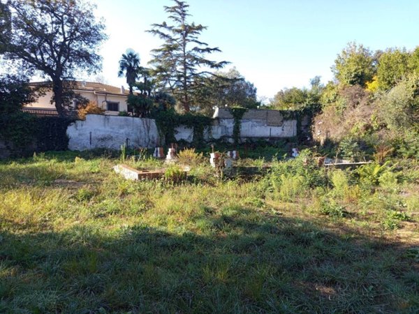 terreno agricolo in vendita a Fiumicino in zona Aranova