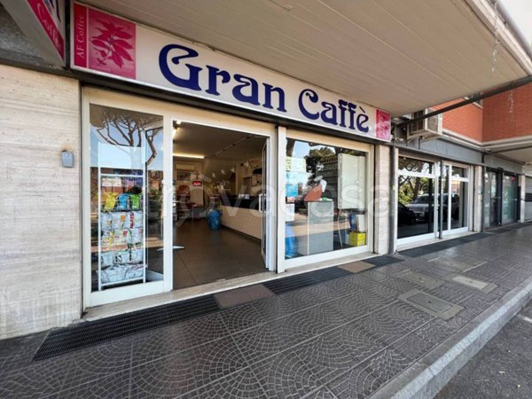 negozio in vendita a Fiumicino in zona Maccarese