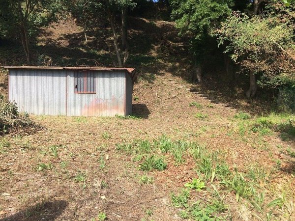 terreno agricolo in vendita a Fiumicino in zona Aranova