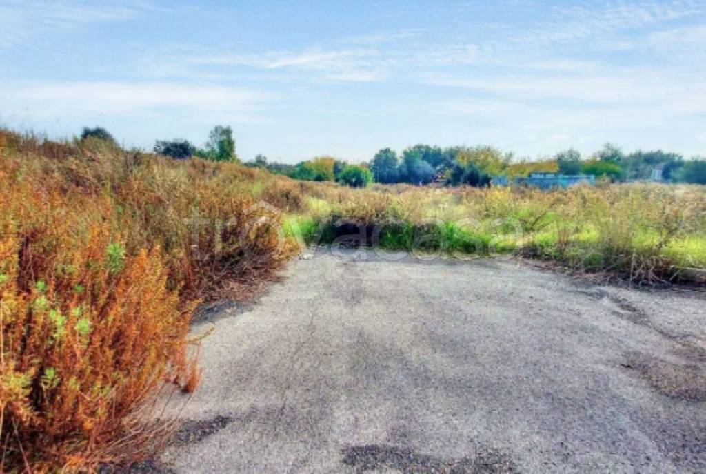terreno agricolo in vendita a Fiumicino in zona Palidoro