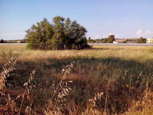 terreno edificabile in vendita a Fiumicino