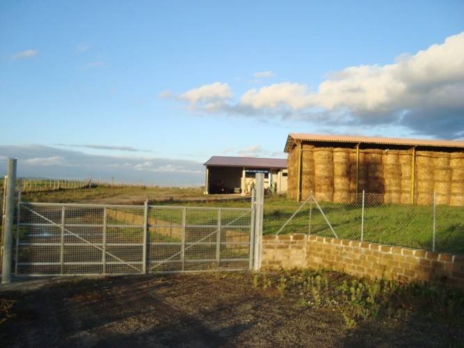 locale commerciale in vendita a Fiumicino in zona Torrimpietra