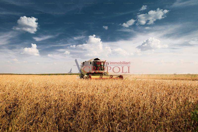 casa indipendente in vendita a Fiumicino in zona Torrimpietra