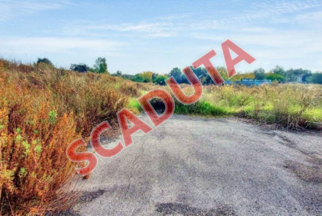 terreno agricolo in vendita a Fiumicino