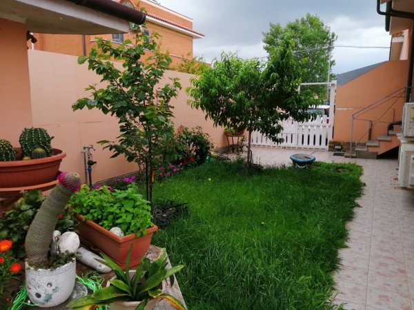 esavano in vendita a Fiumicino