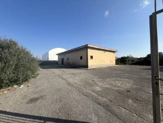 locale commerciale in vendita a Fiumicino in zona Focene