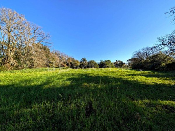 terreno agricolo in vendita a Fiumicino in zona Aranova