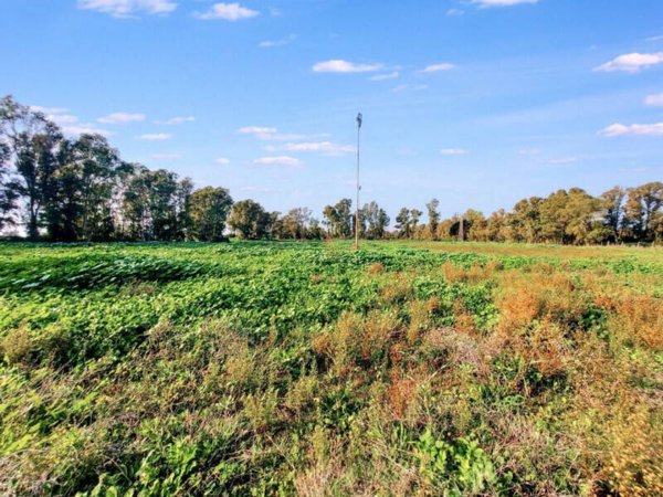 terreno agricolo in vendita a Fiumicino