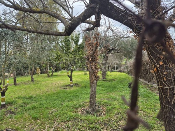 terreno agricolo in vendita a Fiumicino in zona Aranova