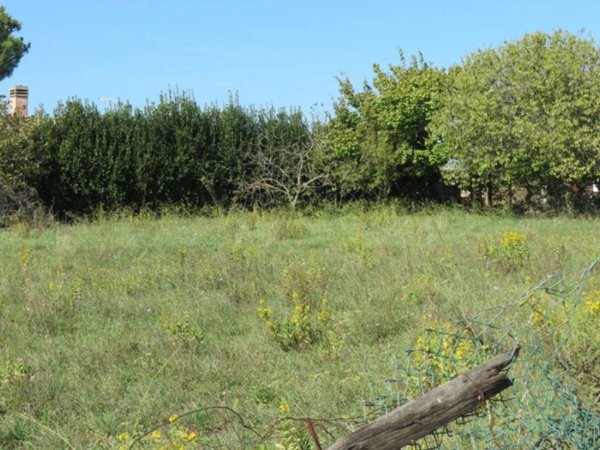terreno agricolo in vendita a Fiumicino in zona Tragliata