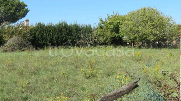 terreno agricolo in vendita a Fiumicino in zona Tragliata