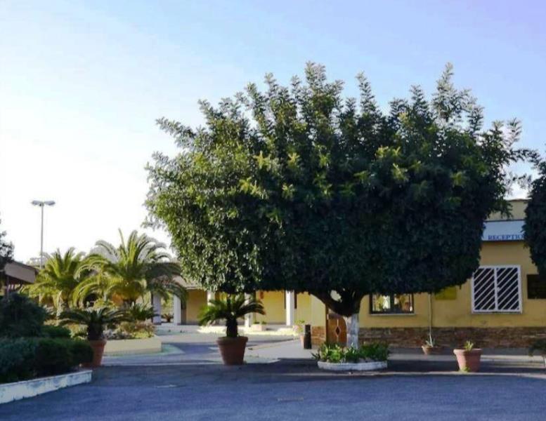 appartamento in vendita a Fiumicino in zona Aranova