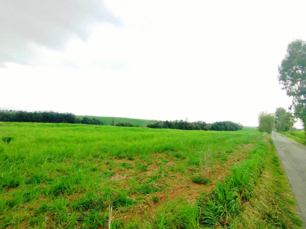 casa indipendente in vendita a Fiumicino in zona Aranova