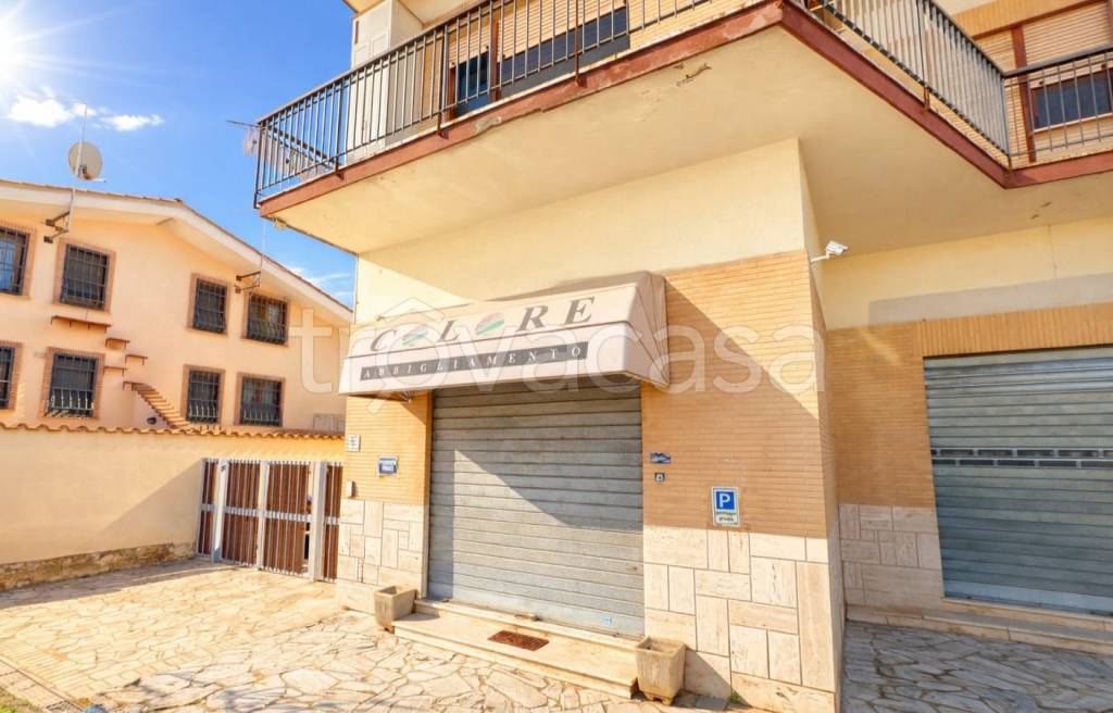 negozio in vendita a Fiumicino in zona Maccarese