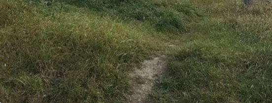 terreno edificabile in vendita a Fiumicino