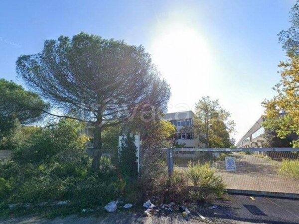 negozio in vendita a Fiumicino