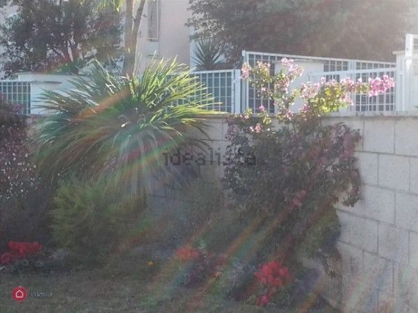 appartamento in vendita a Fiumicino in zona Maccarese