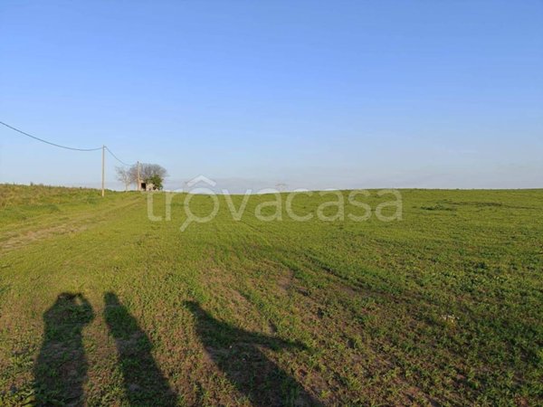 terreno agricolo in vendita a Fiumicino in zona Tragliata