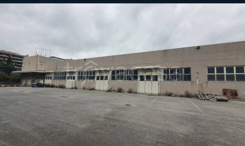 locale commerciale in vendita a Fiumicino